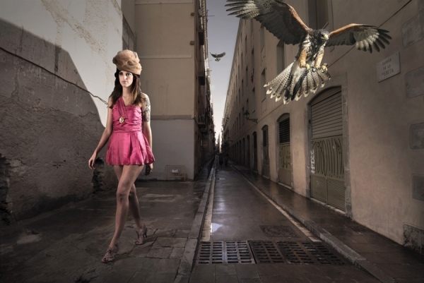 Photograph Jaap Van Den Beukel Birds on One Eyeland